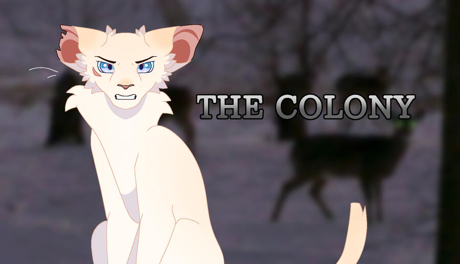 Cirrus: Leader of The Colony