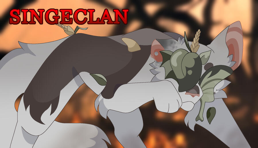 Magnoliastar: Leader of Singeclan